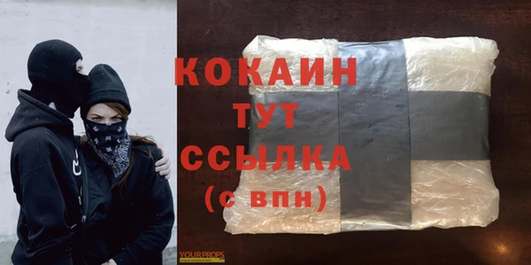 спиды Няндома