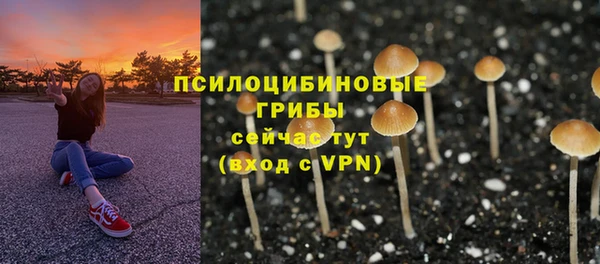 COCAINE Нязепетровск