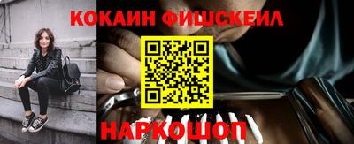 крисы Абакан