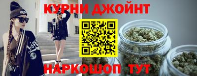 крисы Абакан