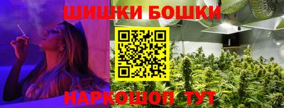 крисы Абакан