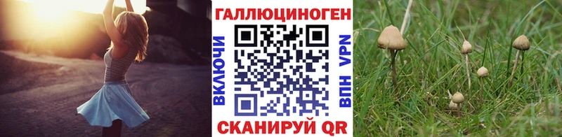 МЕГА маркетплейс  купить закладку  Переславль-Залесский  Галлюциногенные грибы Psilocybine cubensis 