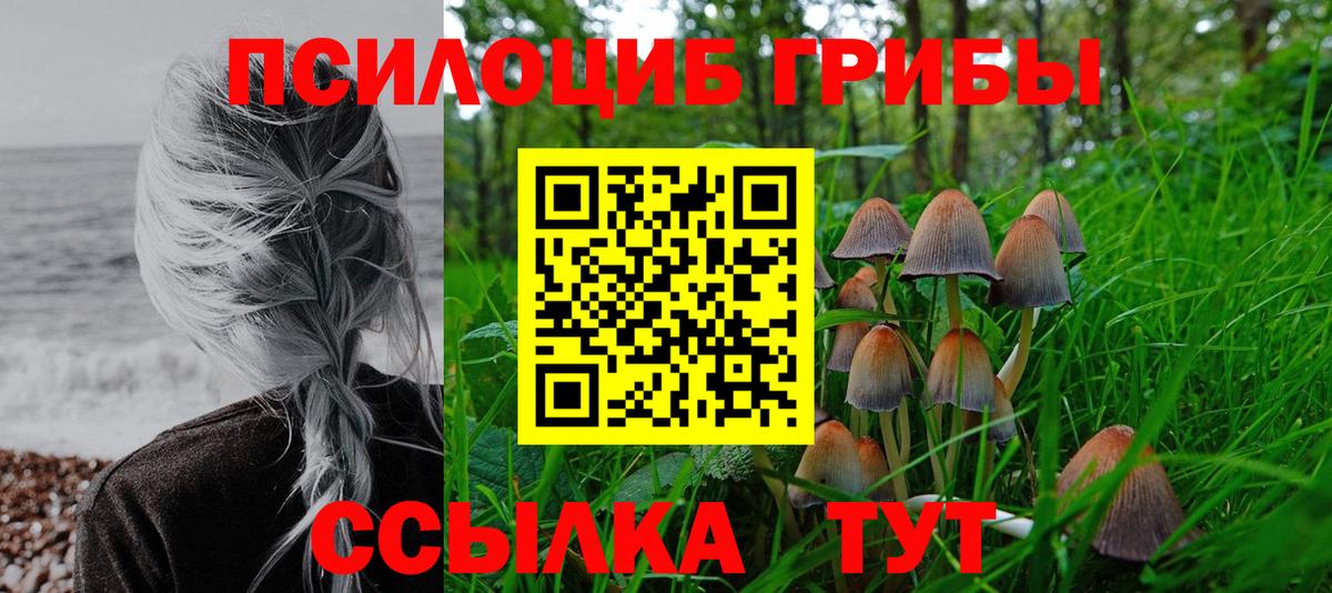 Галлюциногенные грибы MAGIC MUSHROOMS Переславль-Залесский