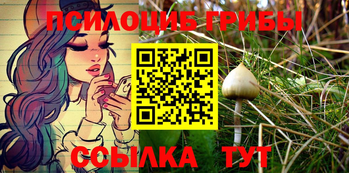 Псилоцибиновые грибы Cubensis  как найти   Псилоцибиновые грибы MAGIC MUSHROOMS  Переславль-Залесский  Вход с VPN 